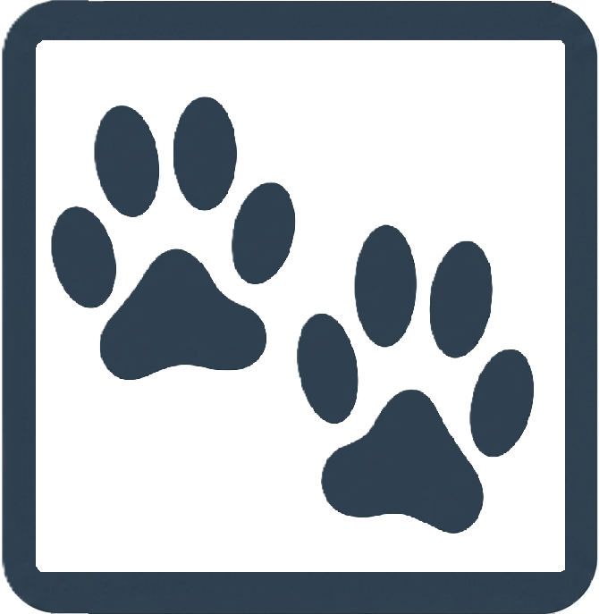 Tracking Icon