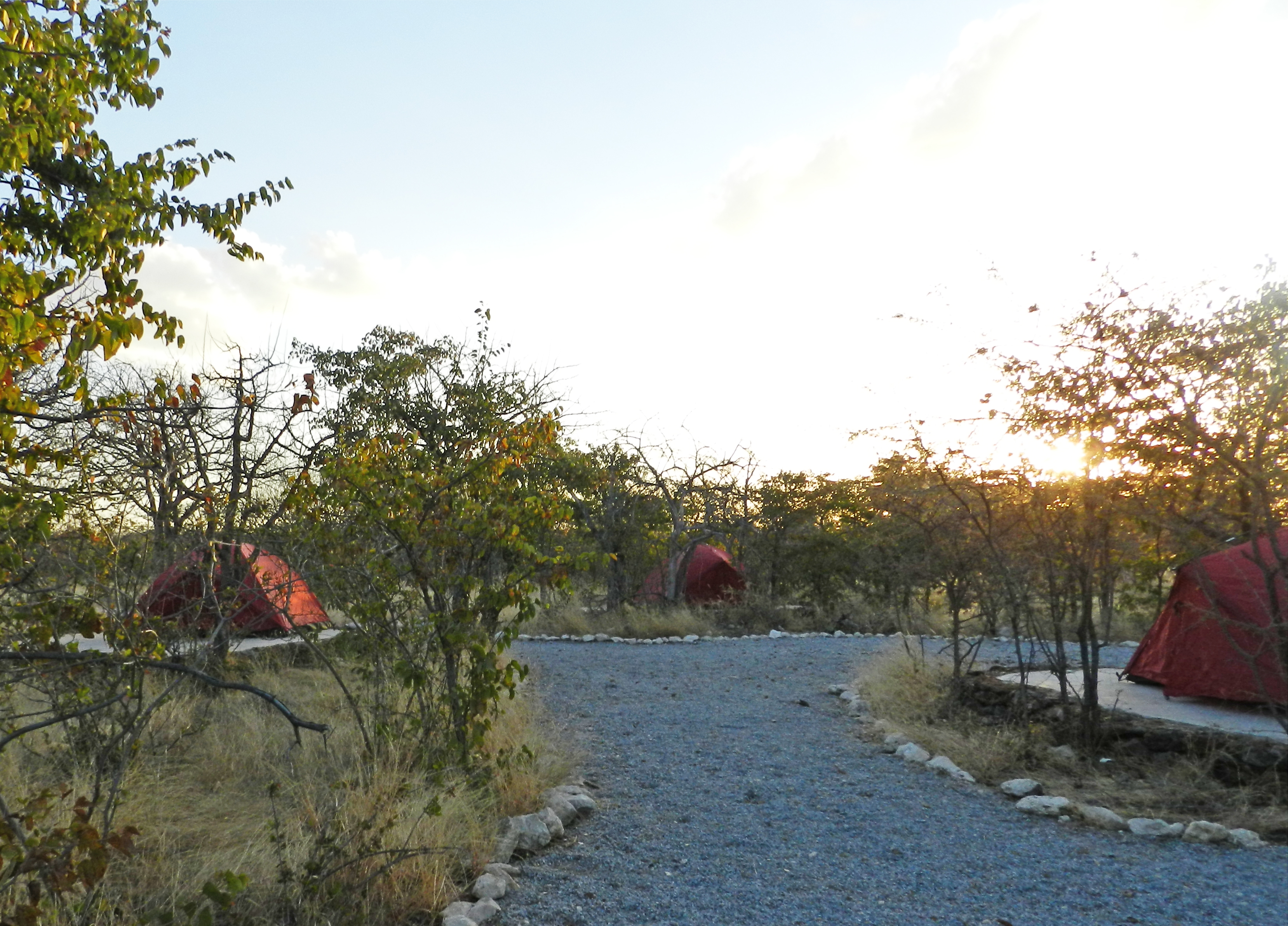 Group Campsite Overview