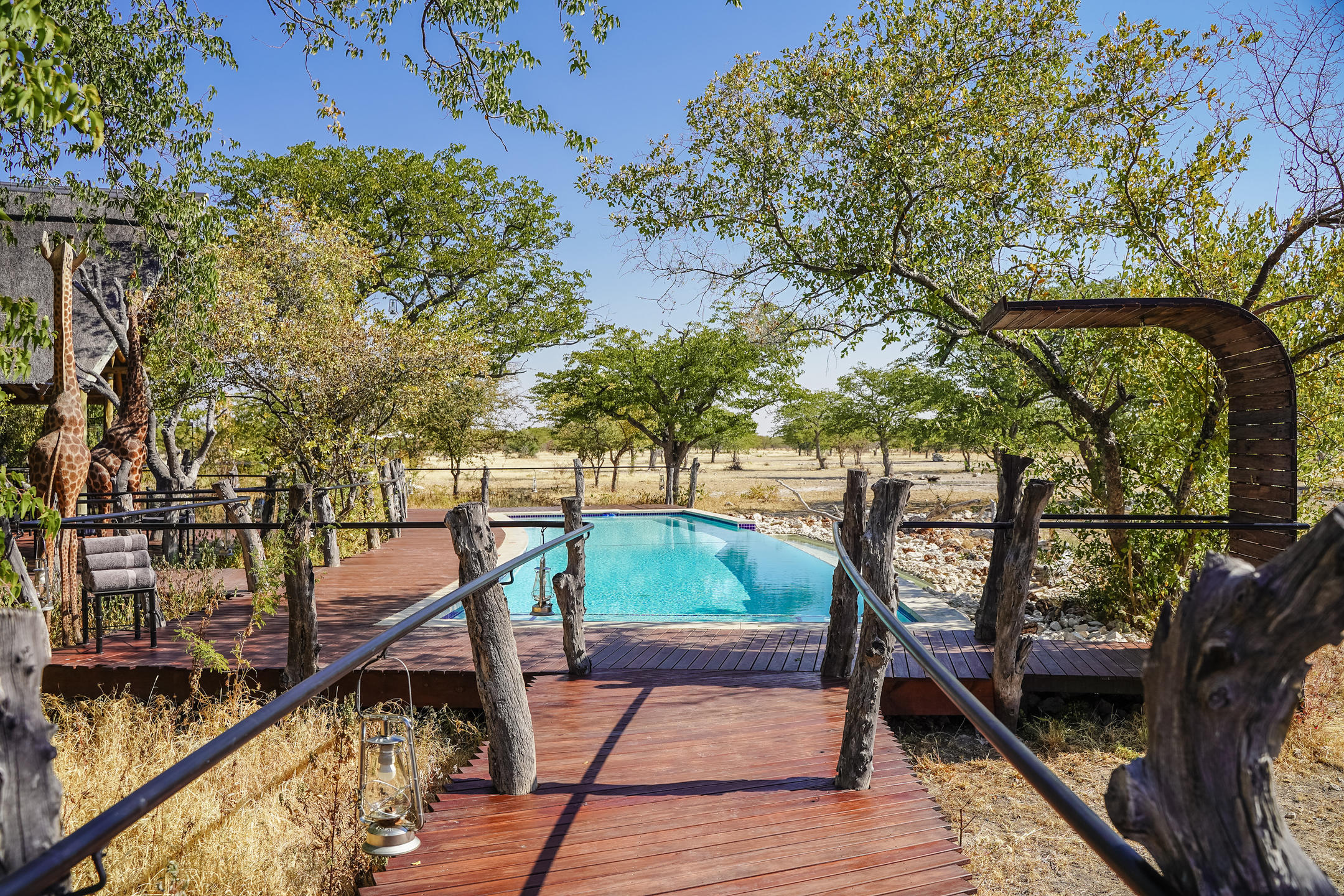 Large infinity pool with open views towards the two waterholes