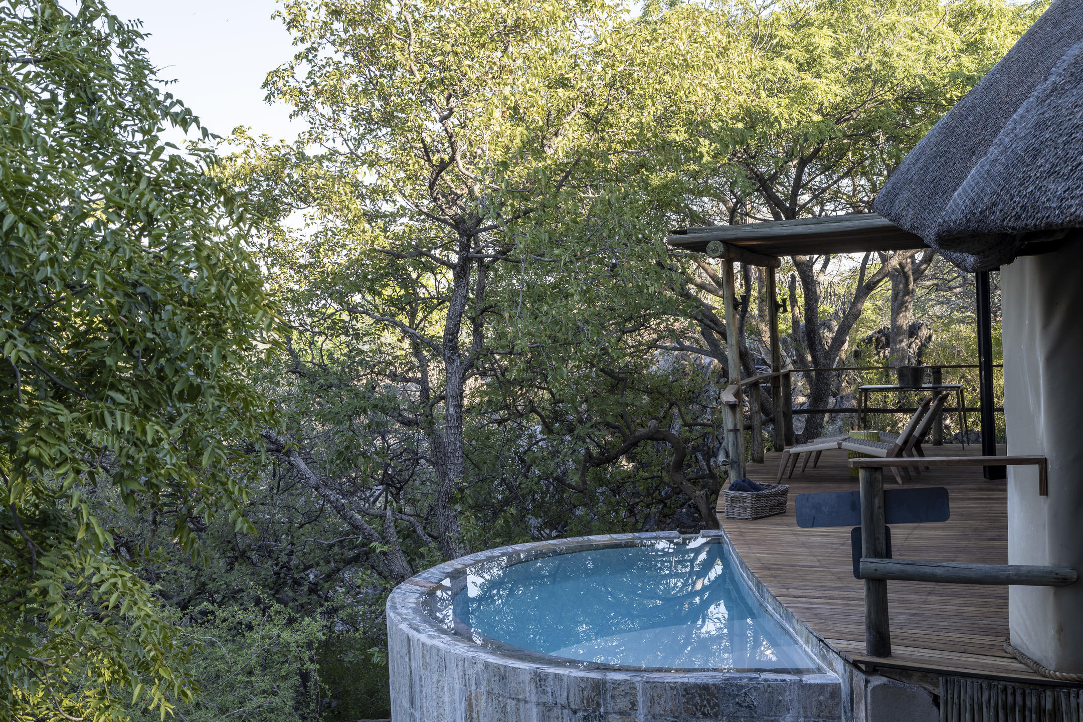 horizon Ongava Private Pool View