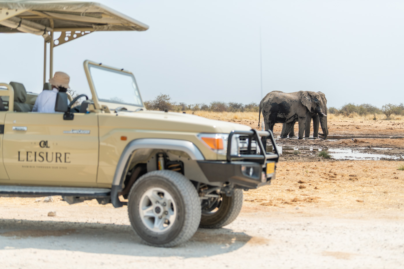 guided Game Drive in Etosha