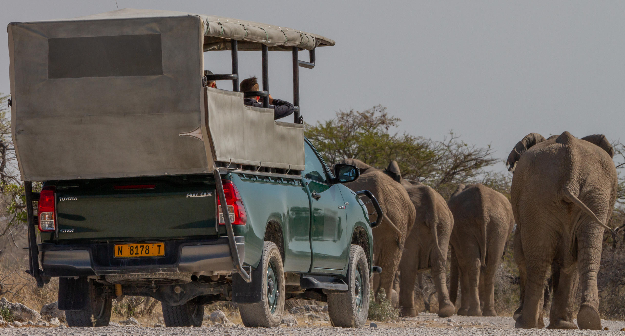 Guided open 4x4 safari vehicle exploring eastern Etosha