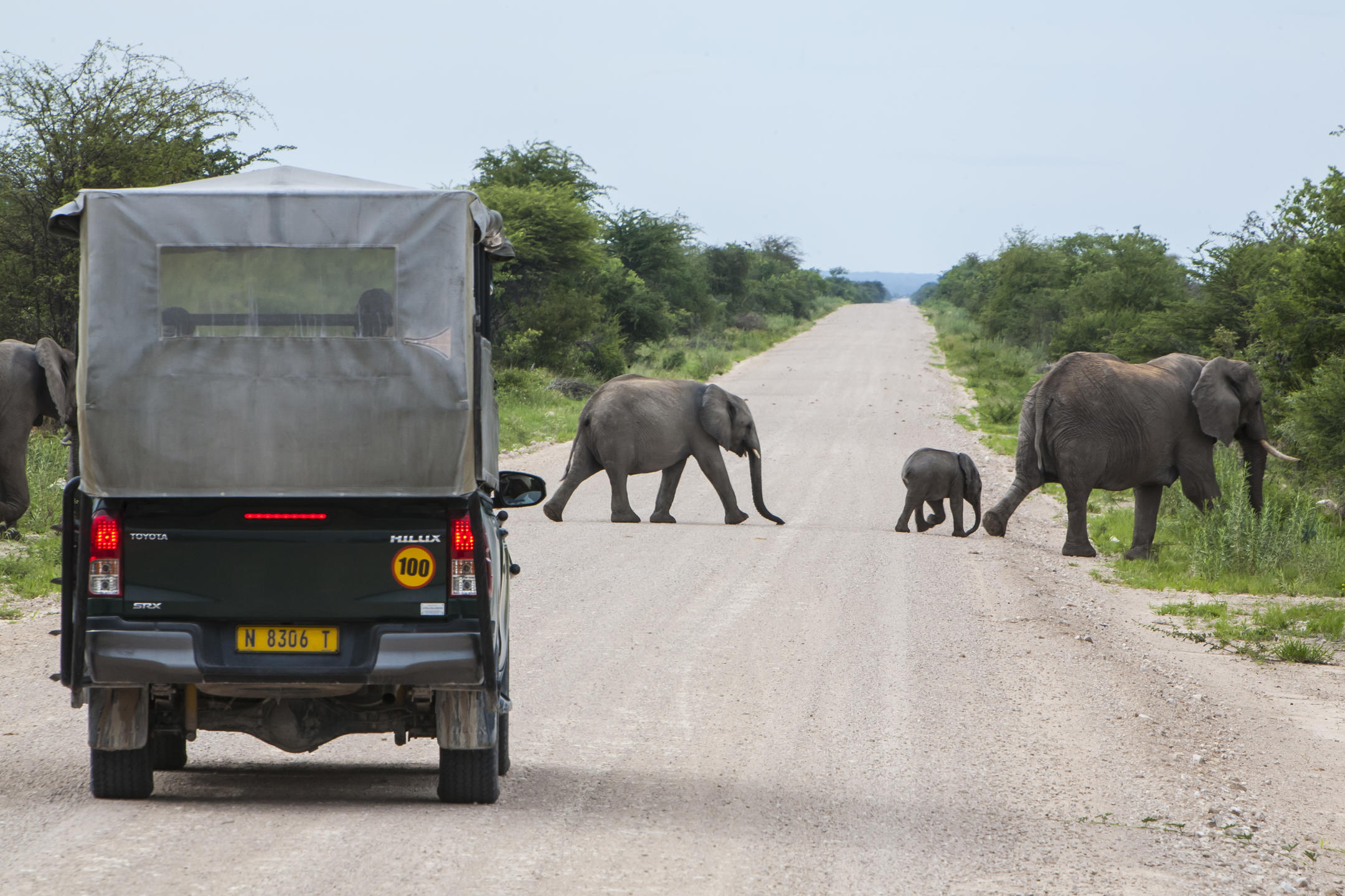 Custom open safari vehicle with 360-degree elevated viewing seats