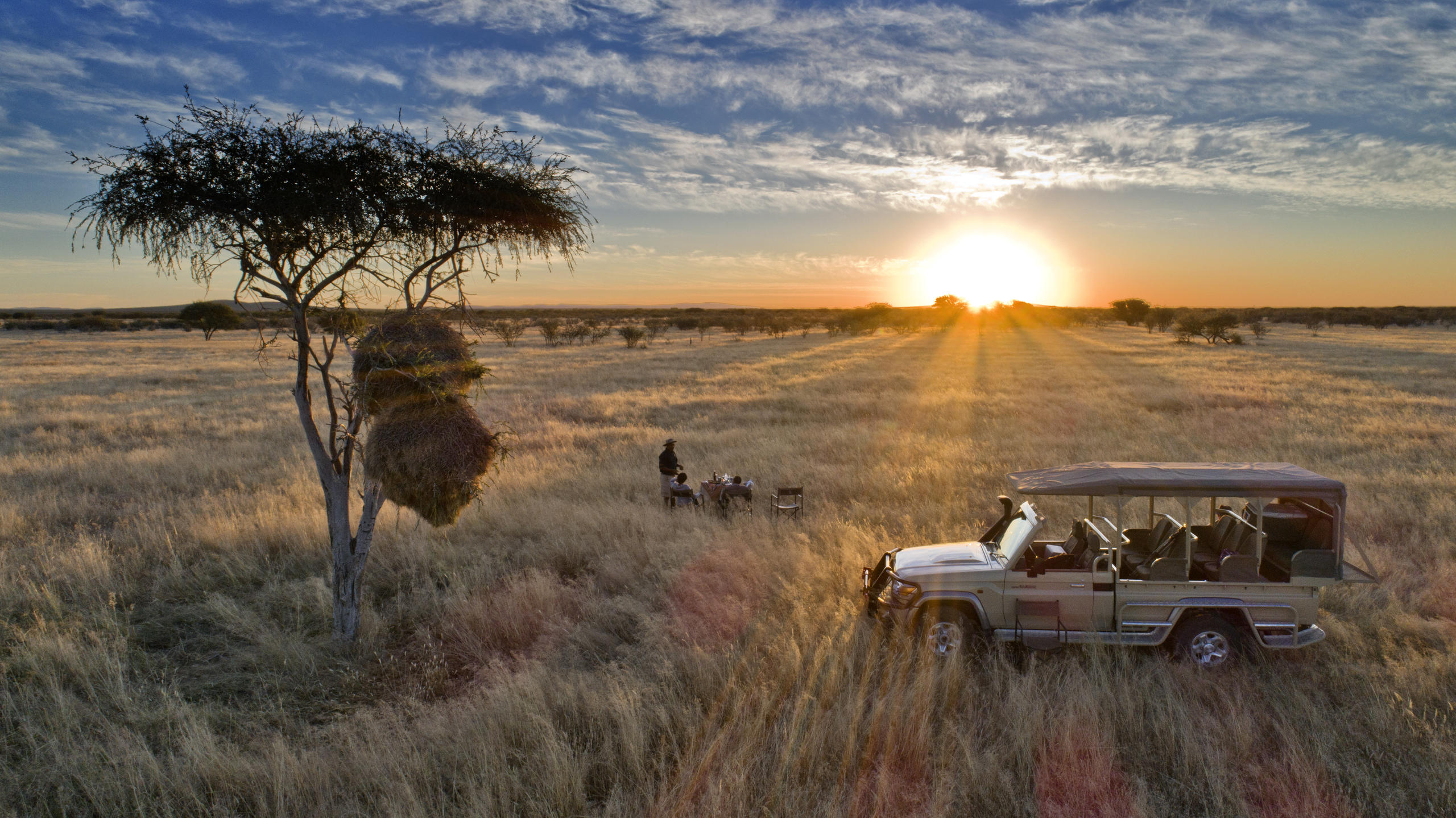 Exclusive private safari vehicle and personal guide