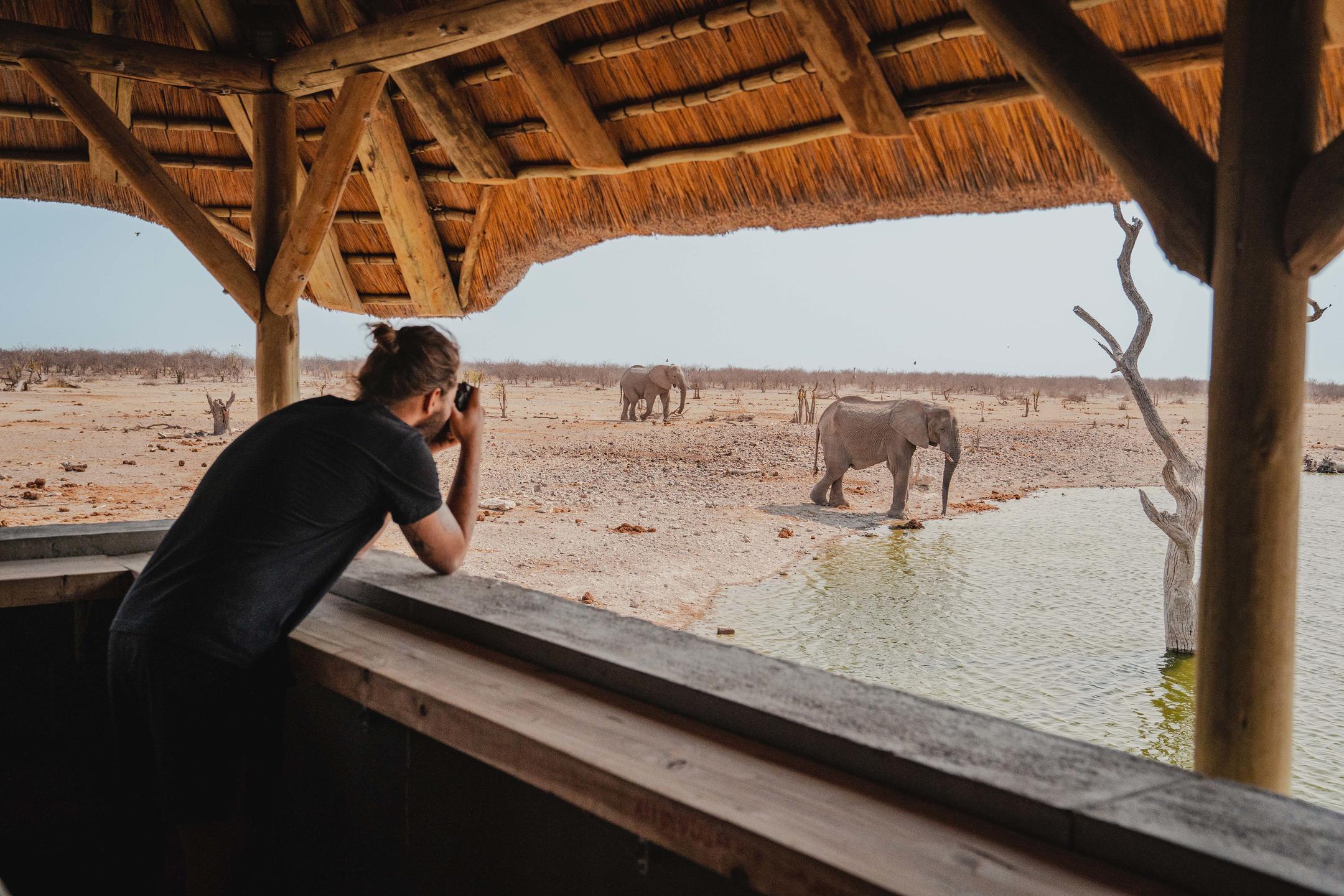 Double-storey photography hide at the private waterhole