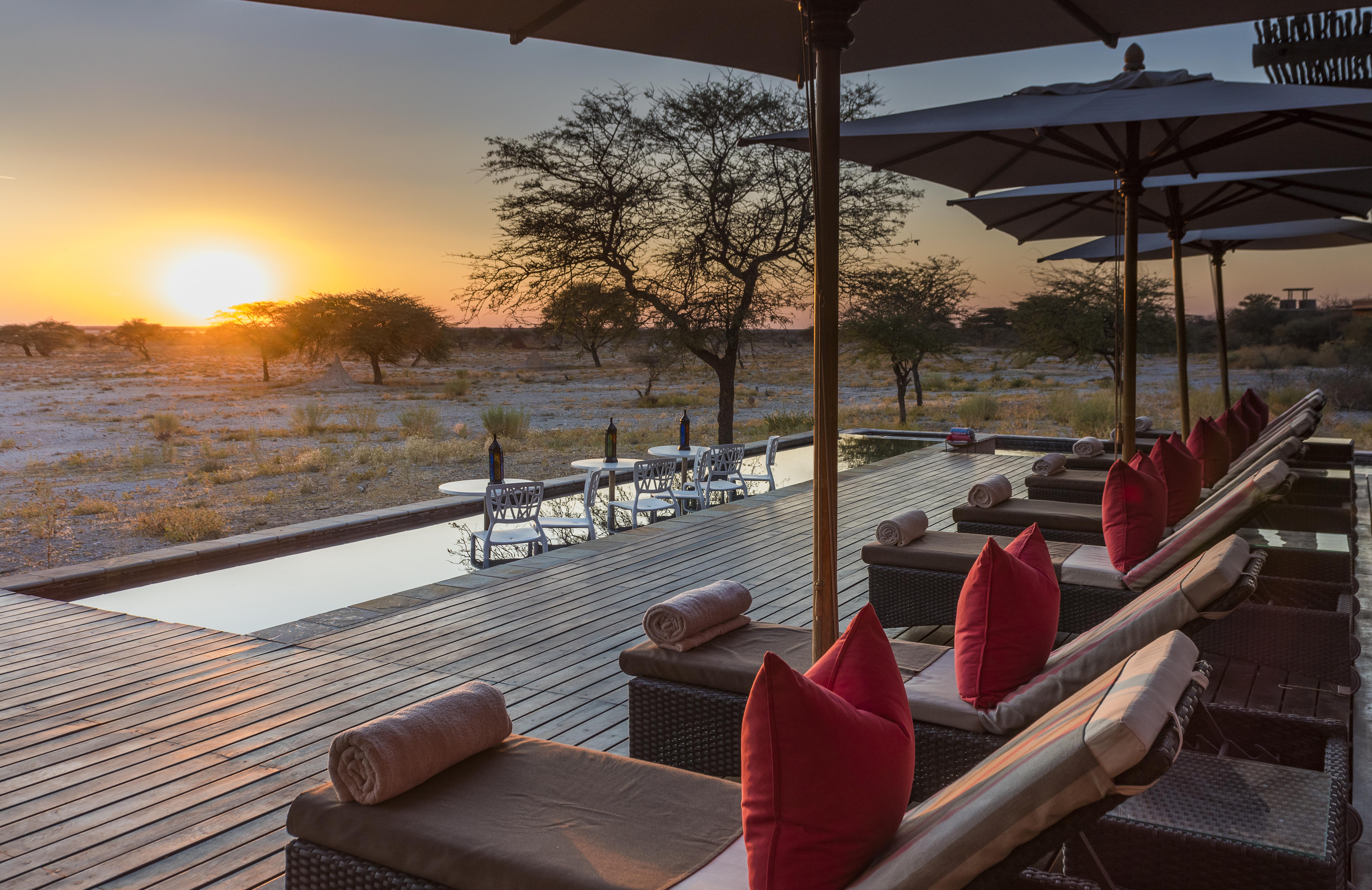Main swimming pool area overlooking the active waterhole