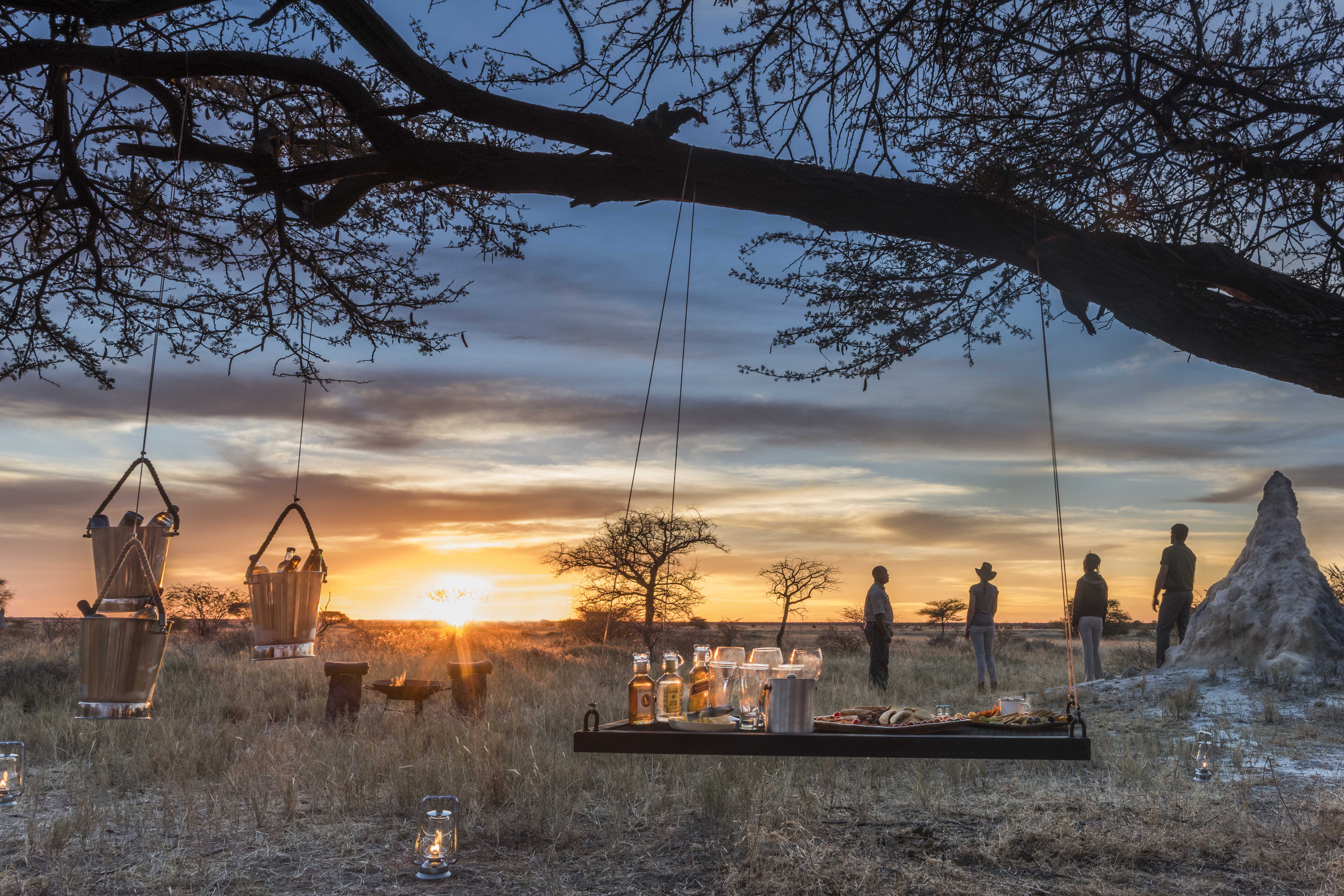 Spectacular sunset view over the Etosha Pan and Camel Thorn trees