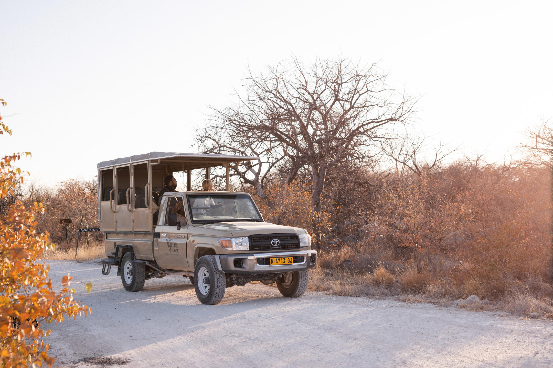 Game drive in an open-sided Vehicle